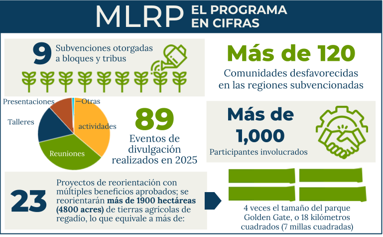 MLRP El Programa en Cifras