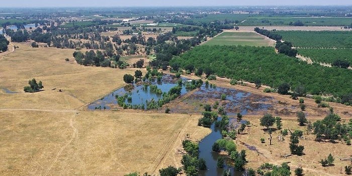 Aerial view over Kaweah Oaks Preserve showing ponds, trees, and farmland in the background.