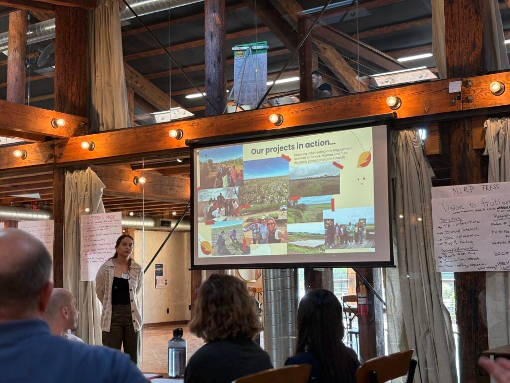woman in front of screen about MLRP projects