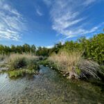 With Proposition 4, Texas just approved a $20 billion generational investment in water. But more still needs to be done to secure Texas’ water future.