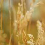 Texas is growing. The way we manage groundwater needs to keep up.