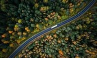 Trucking driving on road in the forest