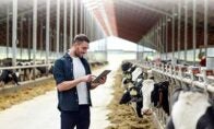Dairy Methane Action Plan