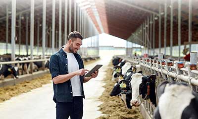 Dairy Methane Action Plan Dairy Methane Action Plan