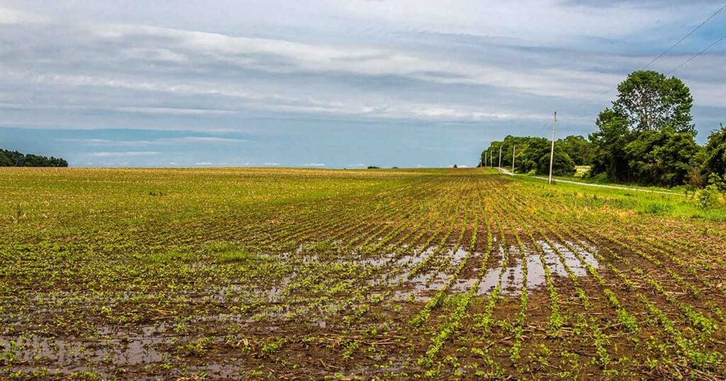 Modernizing agricultural insurance to strengthen farmers’ ability to adapt