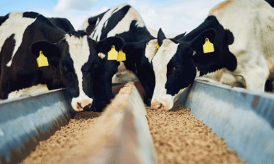 Dairy Methane Accounting