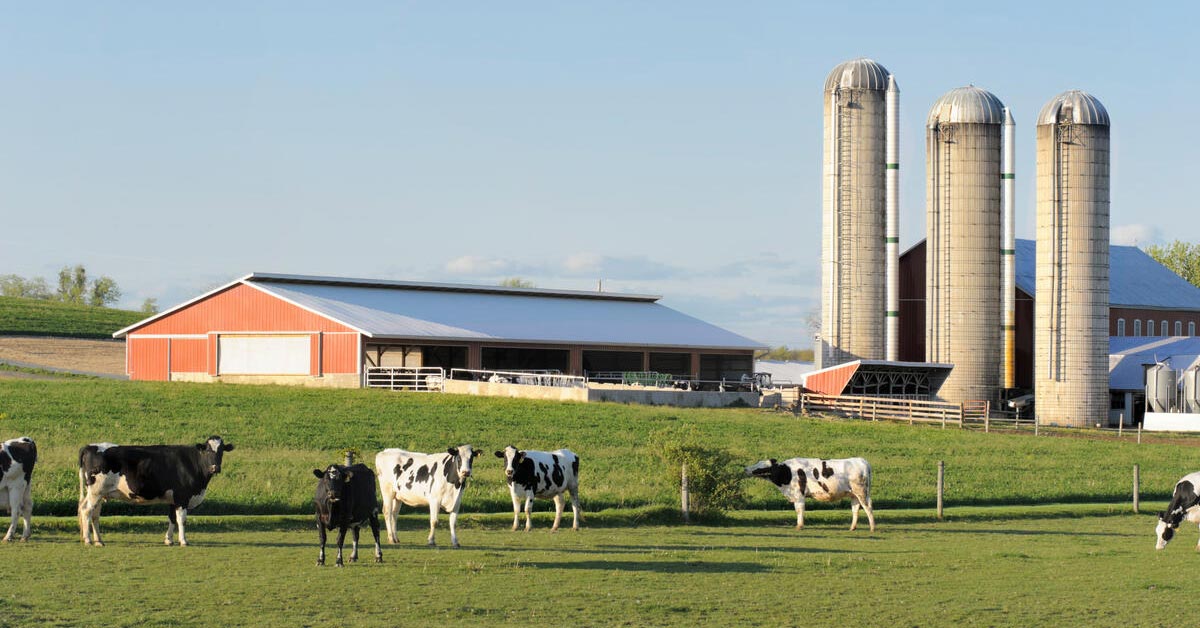 Cultivating Climate-Smart Dairy