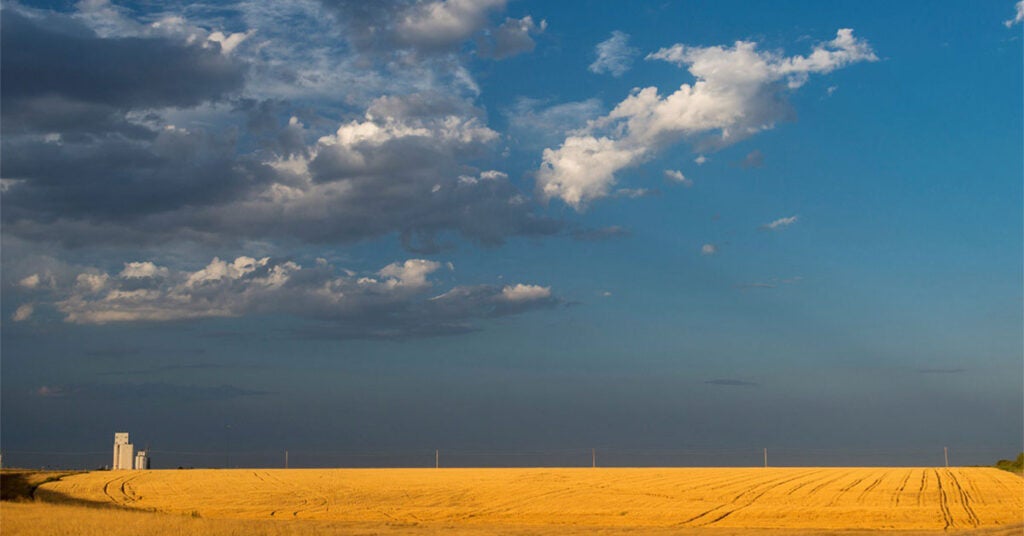 Extreme heat’s impacts on farm financial outcomes in Kansas